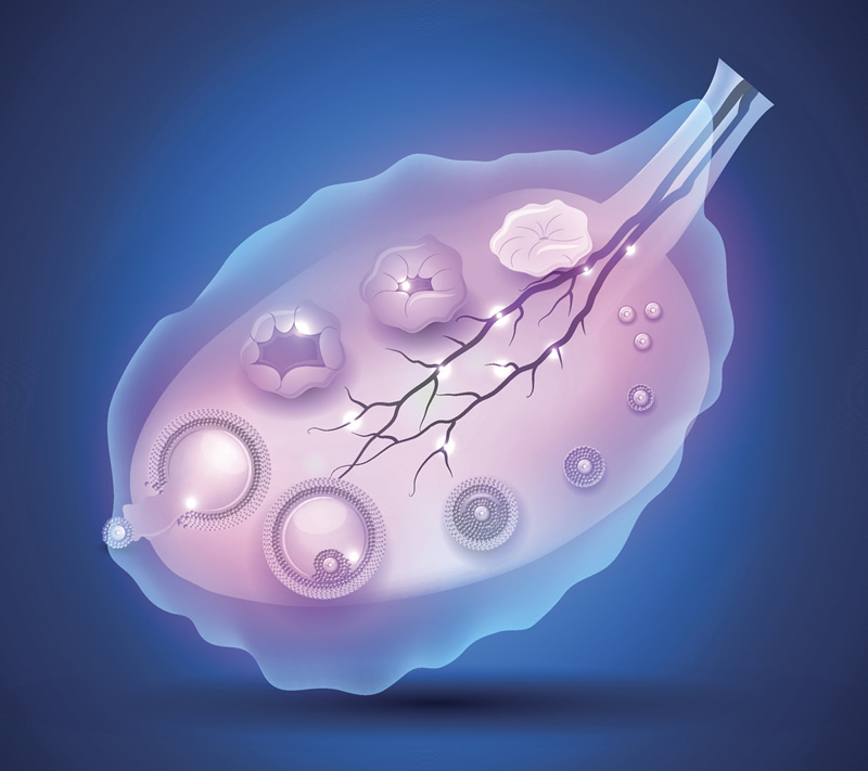 沈阳试管婴儿医院2026年实力盘点：盛京、菁华等五家生殖中心深度解析，附38岁高龄备孕费用与医生指南